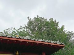 -洛阳古墓博物馆