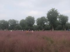 -汉长安城未央宫国家考古遗址公园