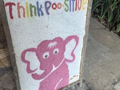 -大象粑粑造纸公园