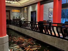 -龙悦湾酒家·八阵鱼生·渔人码头店