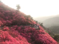 -木兰云雾山