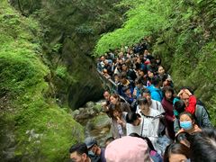 -牛背梁国家森林公园