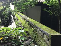 -杭州黄龙洞