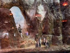 -帝企鹅自助餐厅•儿童岛•真企鹅(长隆企鹅酒店)