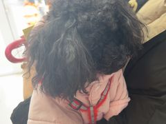 -宠福鑫康馨动物医院·骨科·眼科
