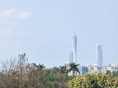 -海珠湖公园