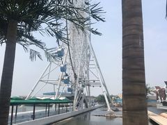 -秦皇岛乐岛海洋王国