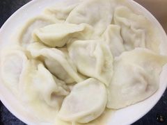 西葫芦馅饺子-东北农业大学饺子园