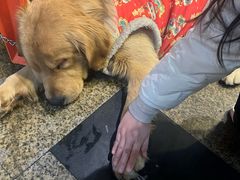 -回头烧烤(悦荟购物中心店)