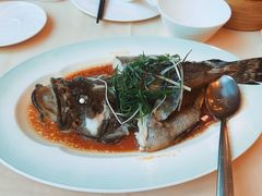 -南海渔村·空中一号