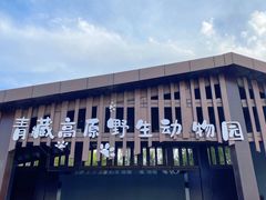 -青藏高原野生动物园