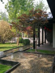 -禧园Joyous Garden ·宴会厅(禧园店)
