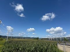-横道河子东北虎林园