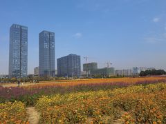 -映月湖中央公园