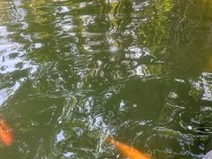 -珠海圆明新园