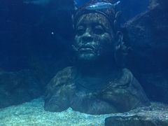 -暹罗海洋世界