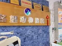 -瑞派名望志远动物医院·猫科·內科·异宠专科(直港大道店)