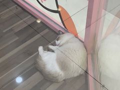 -吾悦广场(天津和平店)