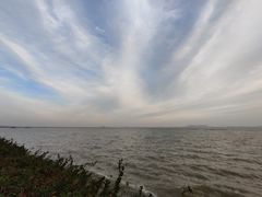 -贡湖湾湿地公园