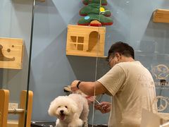 -佐罗家宠物馆·猫文化馆(紫霞路店)