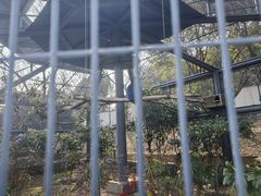 -上方山森林动物世界