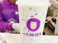 -一只酸奶牛(八一路店)