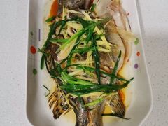 -悦芽照护月嫂+育儿嫂(杭州店)