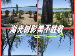 -丁香湖公园