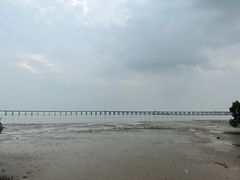 -宝安西湾红树林湿地公园