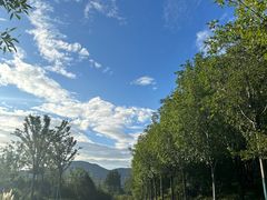 -佛慧山