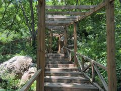 -大岭沟猕猴桃谷风景区