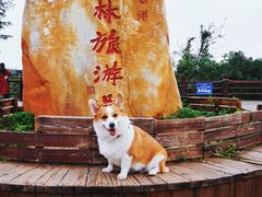 -东寨港红树林旅游区