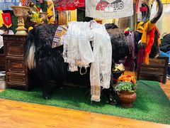 -吉祥圣雪藏餐