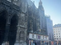-斯蒂芬主教座堂(Stephansdom)