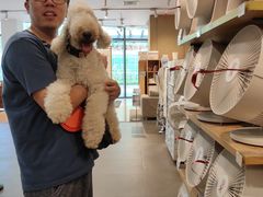 -MUJI无印良品(万象城店)