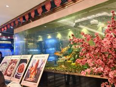 -丰鲤楼•闽南茶楼(仟禧汇店)