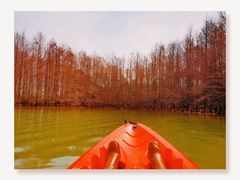 -上海海湾国家森林公园