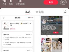 -lincat·猫舍(广州店)