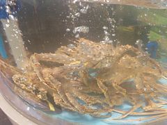 -乐在集市海鲜大排档(平潭店)