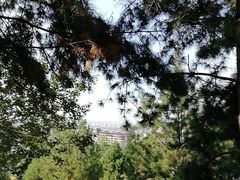 -鹦鹉寺公园