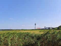 -上海吴淞炮台湾国家湿地公园