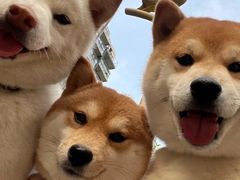 -盤古Spa泰式古法抓龙筋(鲁迅路店)