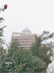 -万悦酒店·宴会厅婚礼会议