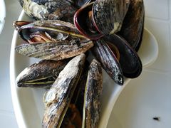 -胖大嫂渔家排档·全海景餐厅(渔村店)