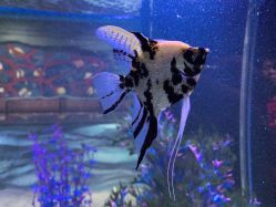 -酷嗒动物文化乐园(cutezoo西溪乐天城店)