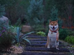 -杭州城北体育公园