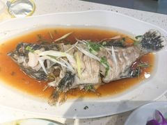 -巧克力渔家.小船海鲜胶东菜(万平口店)