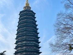 -红梅公园