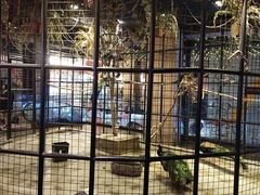 -F45 TRAINING健身工作室(体育中心店)