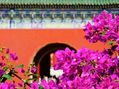 -天坛公园